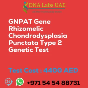 GNPAT Gene Rhizomelic Chondrodysplasia Punctata Type 2 Genetic Test sale cost 4400 AED