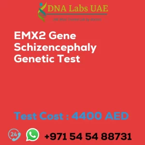 EMX2 Gene Schizencephaly Genetic Test sale cost 4400 AED