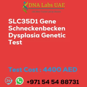 SLC35D1 Gene Schneckenbecken Dysplasia Genetic Test sale cost 4400 AED