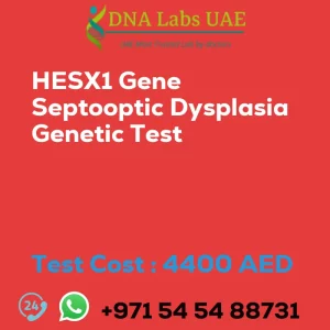 HESX1 Gene Septooptic Dysplasia Genetic Test sale cost 4400 AED