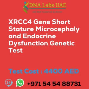 XRCC4 Gene Short Stature Microcephaly and Endocrine Dysfunction Genetic Test sale cost 4400 AED