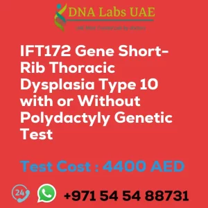 IFT172 Gene Short-Rib Thoracic Dysplasia Type 10 with or Without Polydactyly Genetic Test sale cost 4400 AED