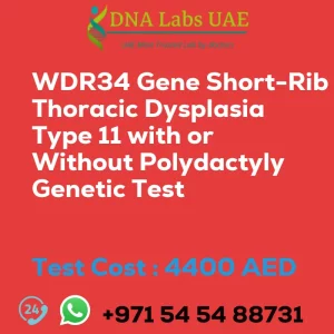 WDR34 Gene Short-Rib Thoracic Dysplasia Type 11 with or Without Polydactyly Genetic Test sale cost 4400 AED