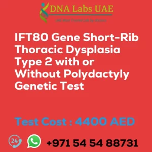 IFT80 Gene Short-Rib Thoracic Dysplasia Type 2 with or Without Polydactyly Genetic Test sale cost 4400 AED