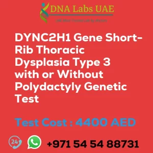 DYNC2H1 Gene Short-Rib Thoracic Dysplasia Type 3 with or Without Polydactyly Genetic Test sale cost 4400 AED