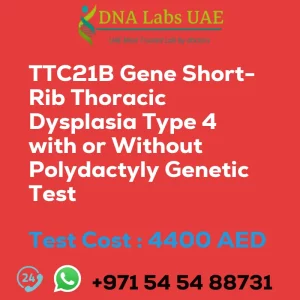 TTC21B Gene Short-Rib Thoracic Dysplasia Type 4 with or Without Polydactyly Genetic Test sale cost 4400 AED