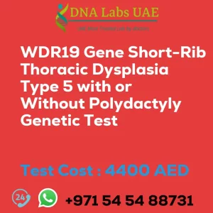 WDR19 Gene Short-Rib Thoracic Dysplasia Type 5 with or Without Polydactyly Genetic Test sale cost 4400 AED