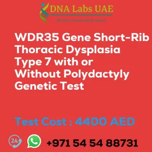WDR35 Gene Short-Rib Thoracic Dysplasia Type 7 with or Without Polydactyly Genetic Test sale cost 4400 AED