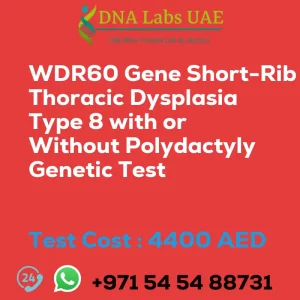 WDR60 Gene Short-Rib Thoracic Dysplasia Type 8 with or Without Polydactyly Genetic Test sale cost 4400 AED