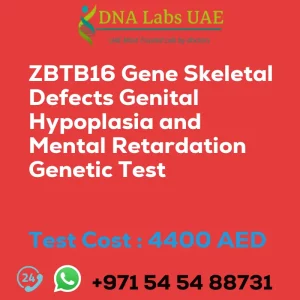 ZBTB16 Gene Skeletal Defects Genital Hypoplasia and Mental Retardation Genetic Test sale cost 4400 AED