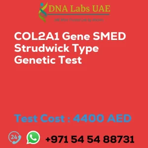 COL2A1 Gene SMED Strudwick Type Genetic Test sale cost 4400 AED