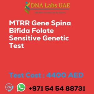 MTRR Gene Spina Bifida Folate Sensitive Genetic Test sale cost 4400 AED