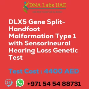 DLX5 Gene Split-Handfoot Malformation Type 1 with Sensorineural Hearing Loss Genetic Test sale cost 4400 AED
