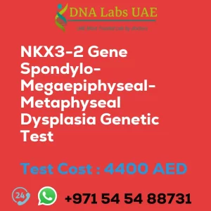 NKX3-2 Gene Spondylo-Megaepiphyseal-Metaphyseal Dysplasia Genetic Test sale cost 4400 AED