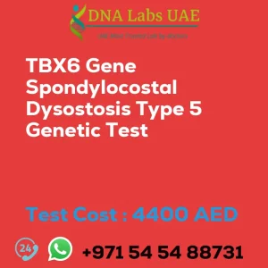 TBX6 Gene Spondylocostal Dysostosis Type 5 Genetic Test sale cost 4400 AED