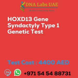 HOXD13 Gene Syndactyly Type 1 Genetic Test sale cost 4400 AED