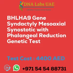 BHLHA9 Gene Syndactyly Mesoaxial Synostotic with Phalangeal Reduction Genetic Test sale cost 4400 AED