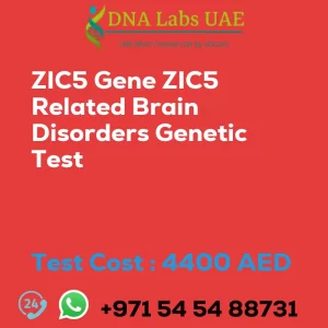 ZIC5 Gene ZIC5 Related Brain Disorders Genetic Test sale cost 4400 AED