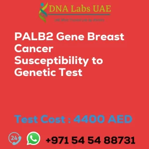 PALB2 Gene Breast Cancer Susceptibility to Genetic Test sale cost 4400 AED