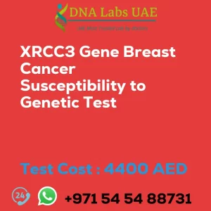 XRCC3 Gene Breast Cancer Susceptibility to Genetic Test sale cost 4400 AED