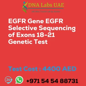 EGFR Gene EGFR Selective Sequencing of Exons 18-21 Genetic Test sale cost 4400 AED