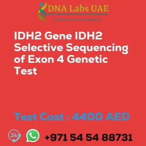 IDH2 Gene IDH2 Selective Sequencing of Exon 4 Genetic Test sale cost 4400 AED