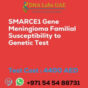 SMARCE1 Gene Meningioma Familial Susceptibility to Genetic Test sale cost 4400 AED