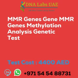 MMR Genes Gene MMR Genes Methylation Analysis Genetic Test sale cost 4400 AED