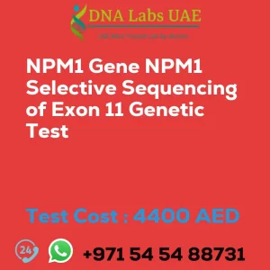 NPM1 Gene NPM1 Selective Sequencing of Exon 11 Genetic Test sale cost 4400 AED