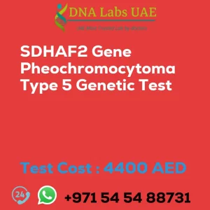 SDHAF2 Gene Pheochromocytoma Type 5 Genetic Test sale cost 4400 AED