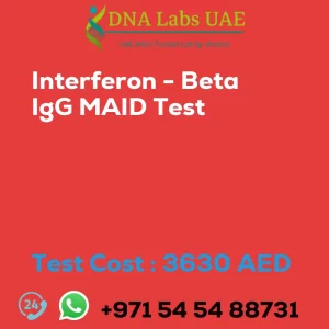 Interferon - Beta IgG MAID Test sale cost 3630 AED