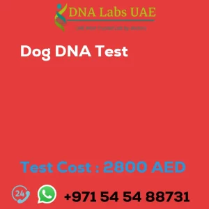 Dog DNA Test sale cost 2800 AED