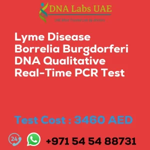 Lyme Disease Borrelia Burgdorferi DNA Qualitative Real-Time PCR Test sale cost 3460 AED