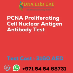 PCNA Proliferating Cell Nuclear Antigen Antibody Test sale cost 3160 AED