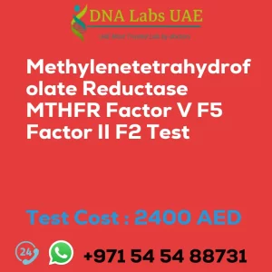 Methylenetetrahydrofolate Reductase MTHFR Factor V F5 Factor II F2 Test sale cost 2400 AED