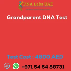 Grandparent DNA Test sale cost 4800 AED