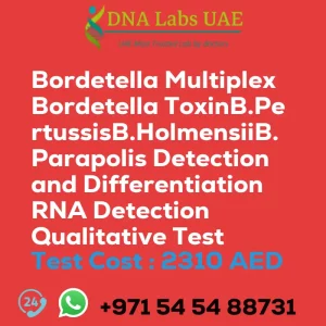 Bordetella Multiplex Bordetella ToxinB.PertussisB.HolmensiiB.Parapolis Detection and Differentiation RNA Detection Qualitative Test sale cost 2310 AED
