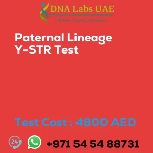 Paternal Lineage Y-STR Test sale cost 4800 AED