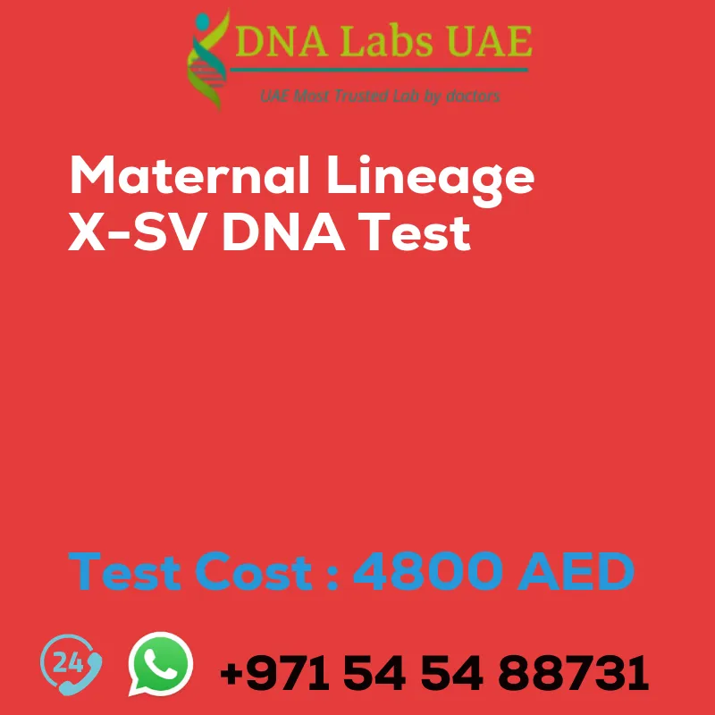 Maternal Lineage X-SV DNA Test sale cost 4800 AED