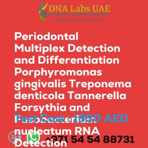 Periodontal Multiplex Detection and Differentiation Porphyromonas gingivalis Treponema denticola Tannerella Forsythia and Fusobacterium nucleatum RNA Detection Qualitative Test sale cost 1950 AED