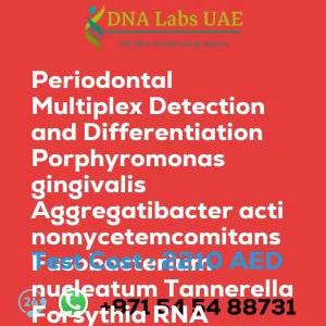 Periodontal Multiplex Detection and Differentiation Porphyromonas gingivalis Aggregatibacter actinomycetemcomitans Fusobacterium nucleatum Tannerella Forsythia RNA Detection Qualitative Test sale cost 2210 AED