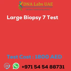 Large Biopsy 7 Test sale cost 1800 AED