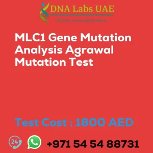 MLC1 Gene Mutation Analysis Agrawal Mutation Test sale cost 1800 AED