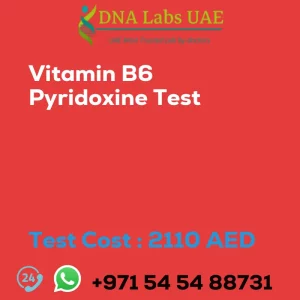 Vitamin B6 Pyridoxine Test sale cost 2110 AED