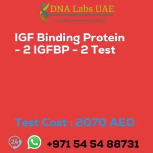 IGF Binding Protein - 2 IGFBP - 2 Test sale cost 2070 AED