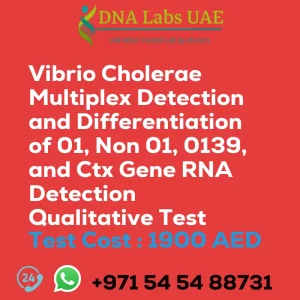 Vibrio Cholerae Multiplex Detection and Differentiation of 01