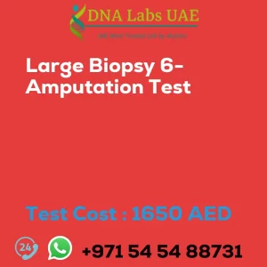 Large Biopsy 6- Amputation Test sale cost 1650 AED