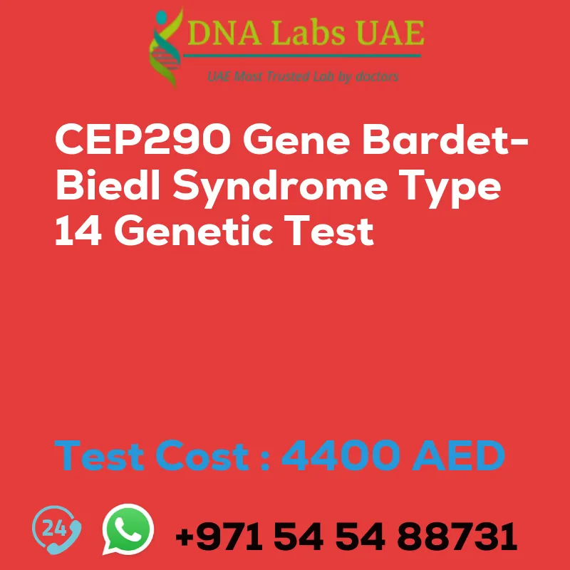 CEP290 Gene Bardet-Biedl Syndrome Type 14 Genetic Test sale cost 4400 AED