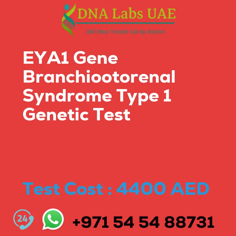 EYA1 Gene Branchiootorenal Syndrome Type 1 Genetic Test sale cost 4400 AED