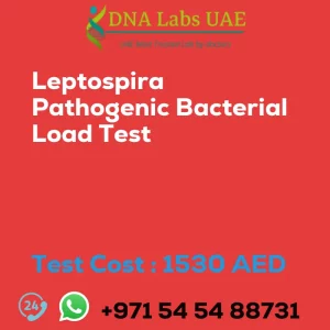 Leptospira Pathogenic Bacterial Load Test sale cost 1530 AED